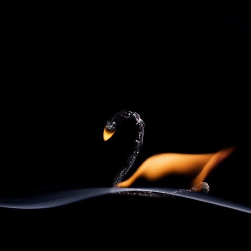 still-life-photography-nhiep-anh-tinh-vat-la-gi_