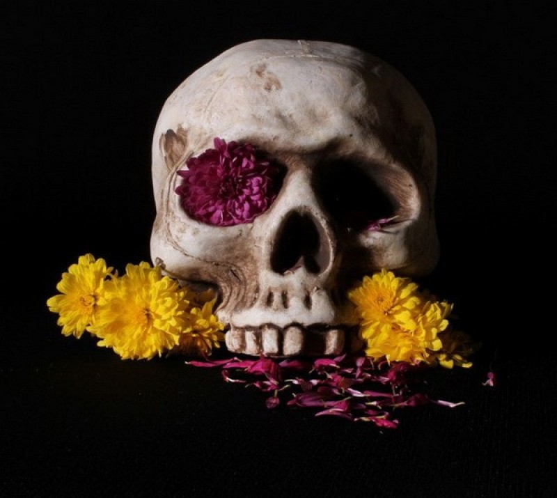 still-life-photography-nhiep-anh-tinh-vat-la-gi_