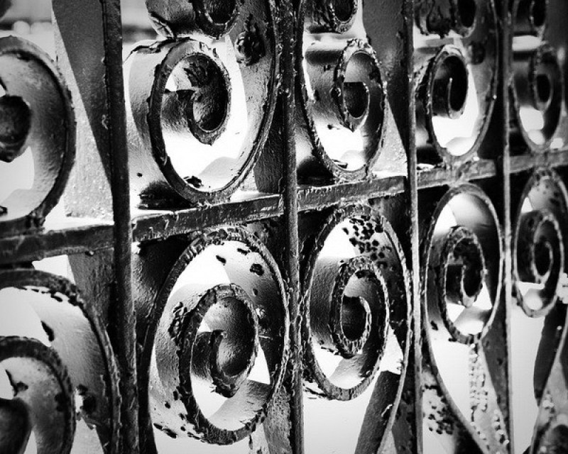 still-life-photography-nhiep-anh-tinh-vat-la-gi_