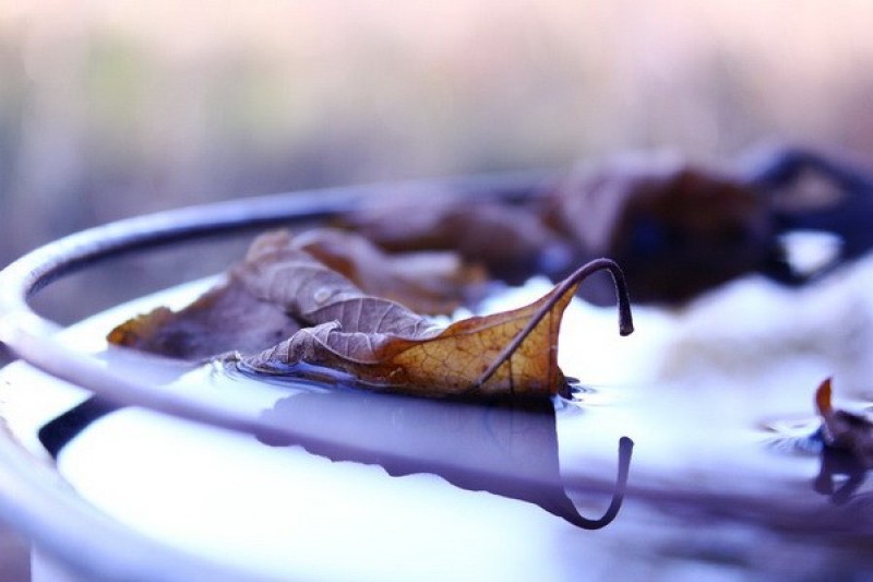 still-life-photography-nhiep-anh-tinh-vat-la-gi_
