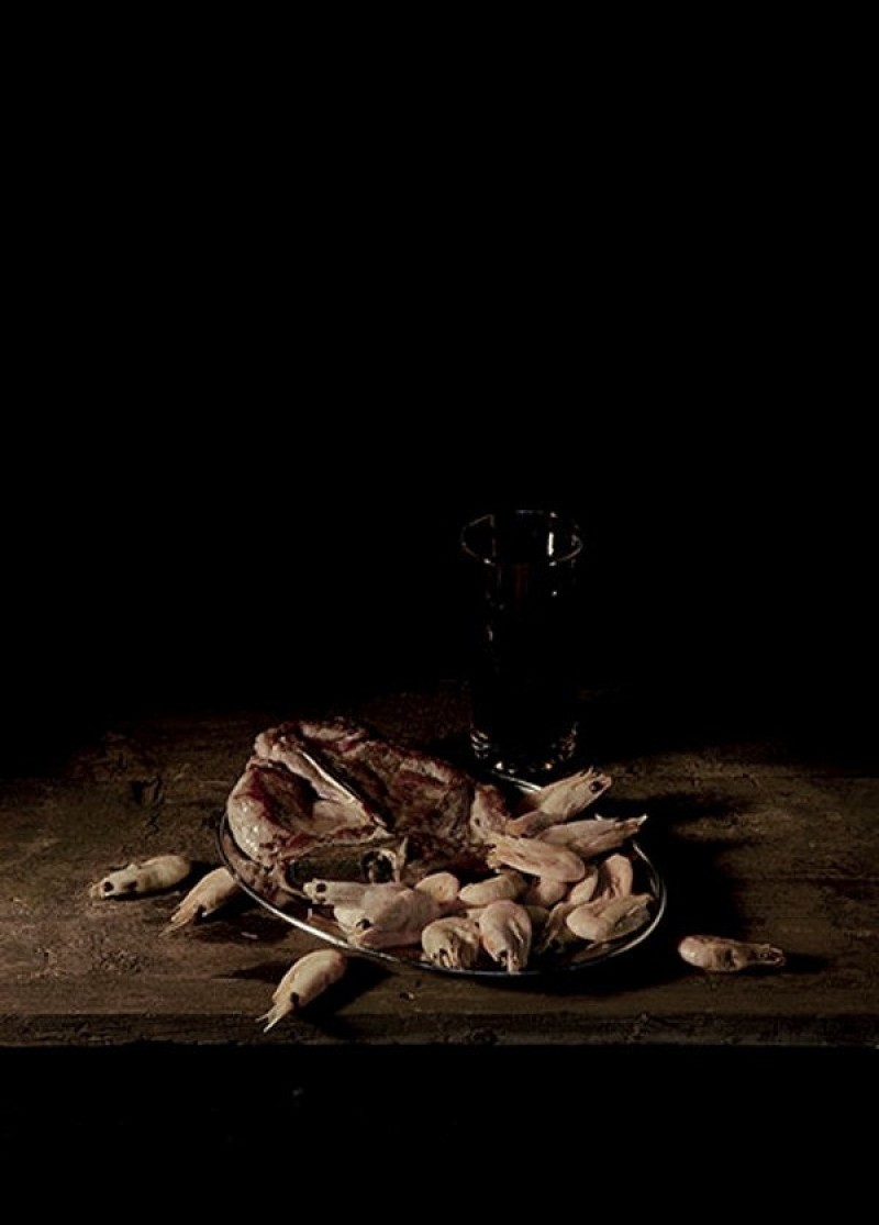still-life-photography-nhiep-anh-tinh-vat-la-gi_