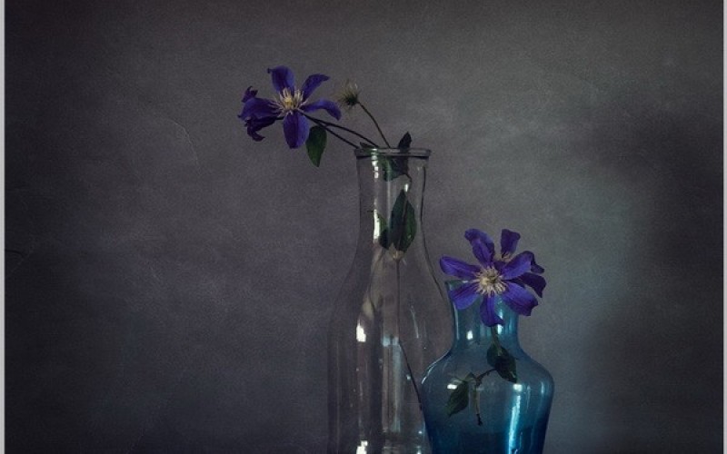 still-life-photography-nhiep-anh-tinh-vat-la-gi_
