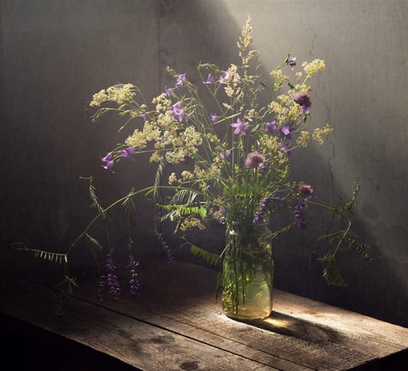 still-life-photography-nhiep-anh-tinh-vat-la-gi