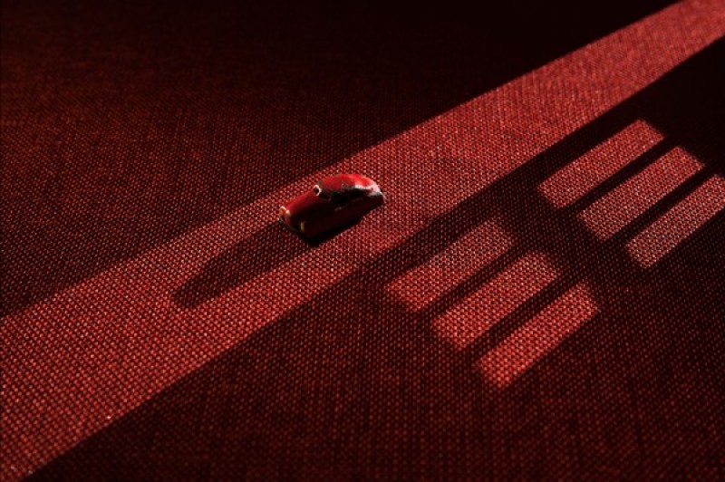 still-life-photography-nhiep-anh-tinh-vat-la-gi_