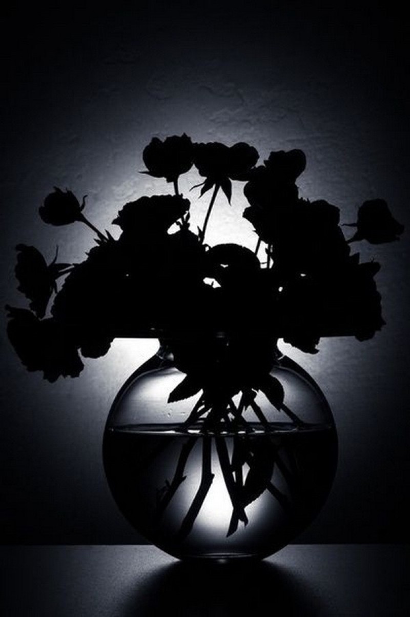still-life-photography-nhiep-anh-tinh-vat-la-gi_