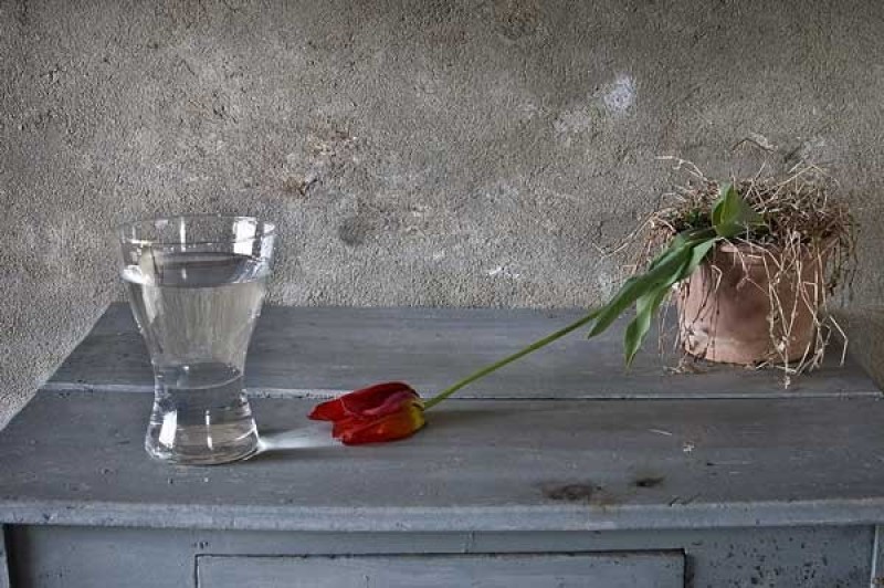 still-life-photography-nhiep-anh-tinh-vat-la-gi_