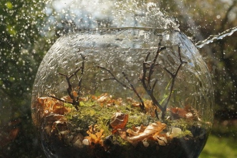 still-life-photography-nhiep-anh-tinh-vat-la-gi_