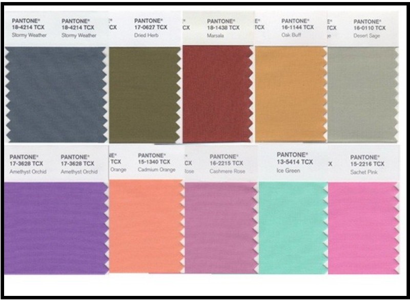 mau-pantone-la-gi_