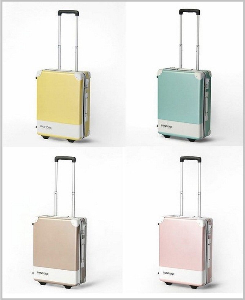 mau-pantone-la-gi_
