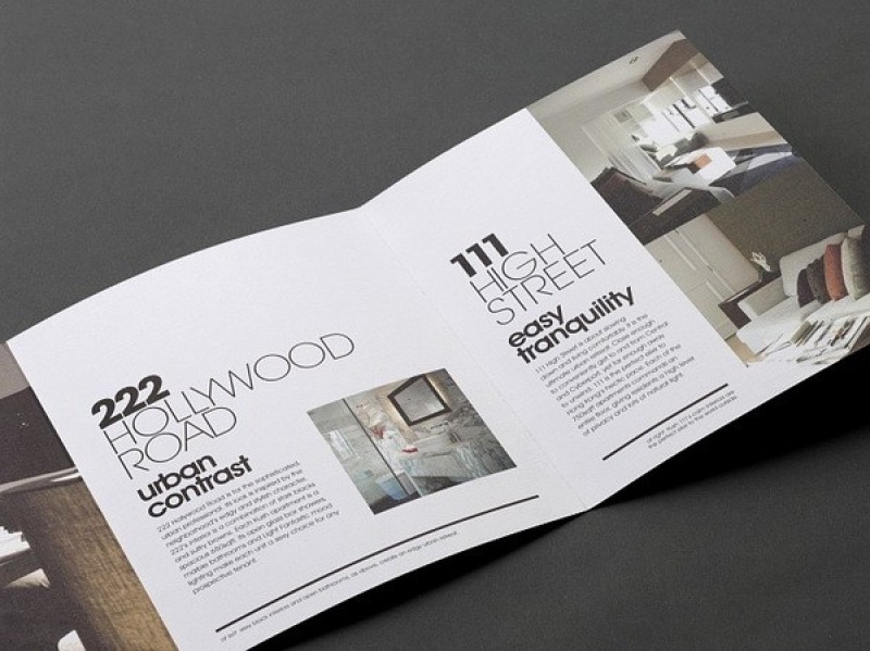 thiết kế brochure