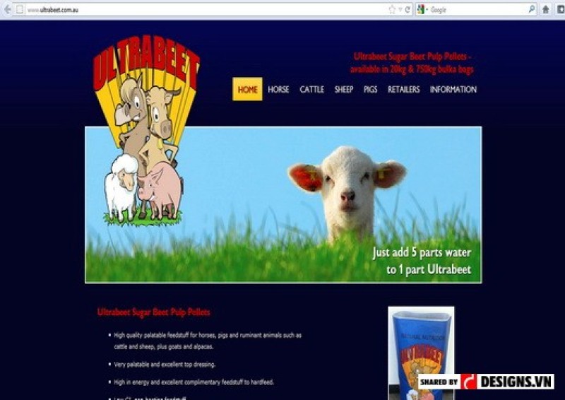 thietkeweblagi_4