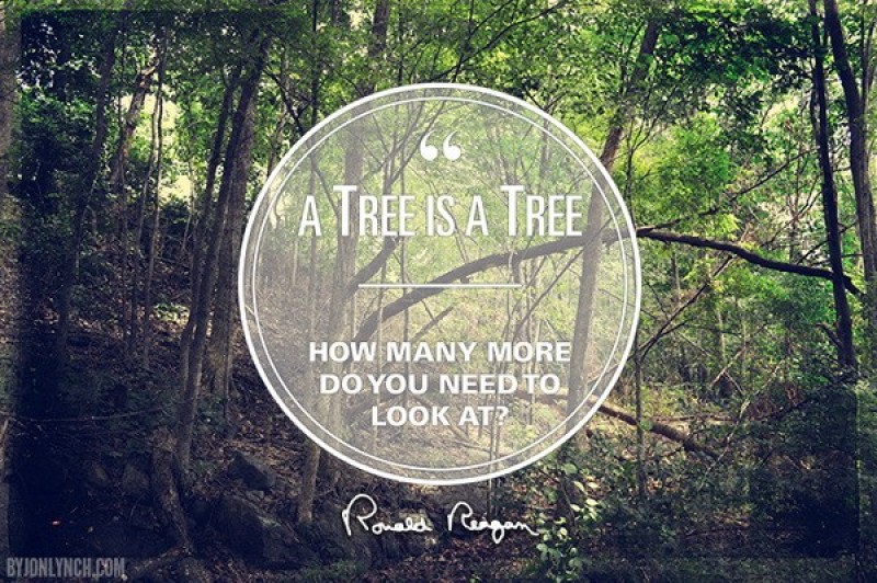 typography-photo-quote-la-gi