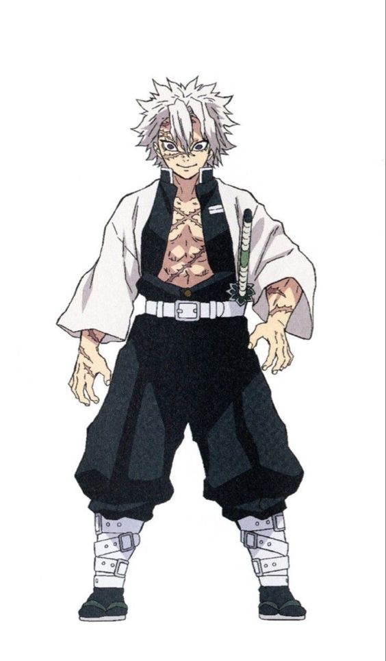 Series Nhân Vật Kimetsu No Yaiba - Shinazugawa Sanemi