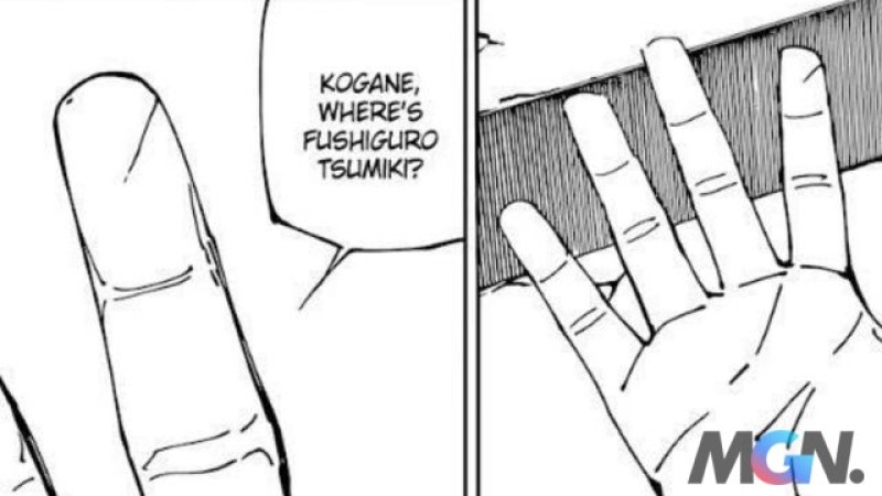 jujutsu kaisen (1)