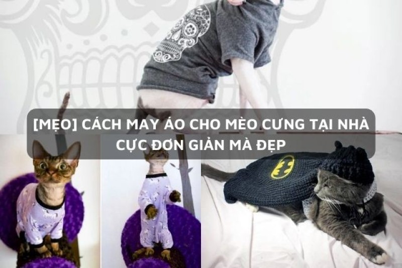 cách làm áo cho mèo