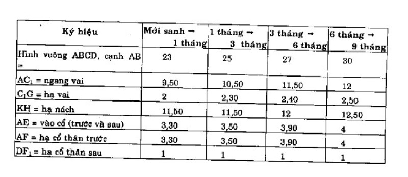 cách may áo sơ sinh tay thường