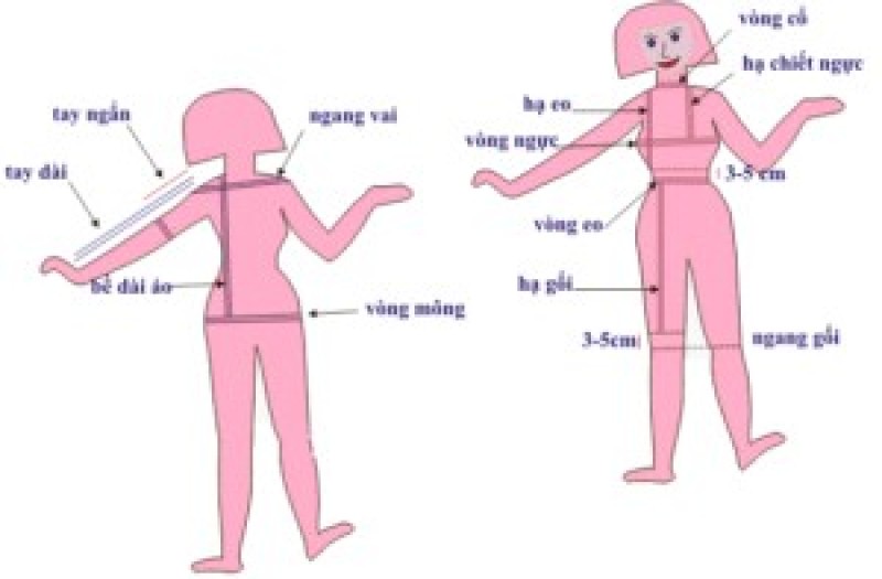 Hướng dẫn lấy số đo cơ thể