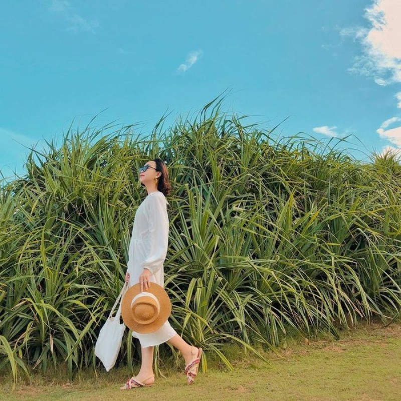 Địa điểm du lịch ở Phú Yên