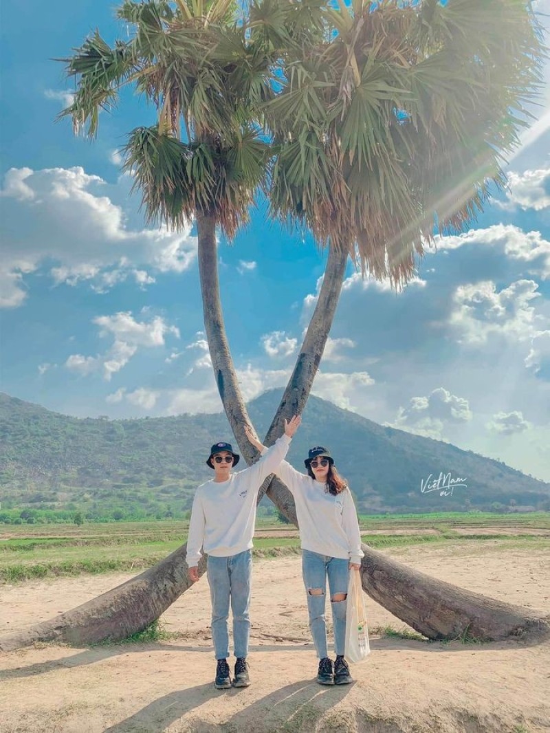 Hai bạn trẻ check-in ở cây thốt nốt