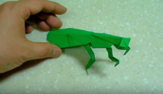 Cách Gấp Con Bọ Ngựa Bằng Giấy Theo Phong Cách Origami