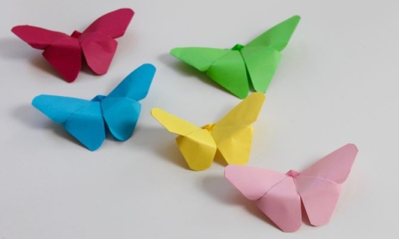 cách gấp con bướm