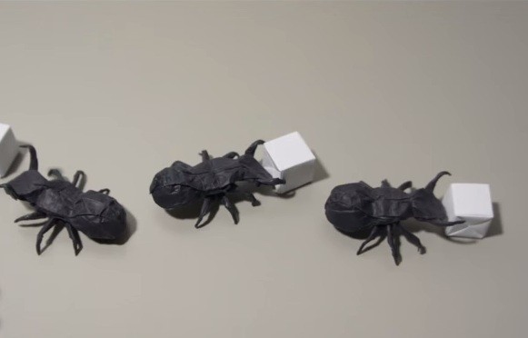 Cách Gấp Con Kiến Bằng Giấy Theo Phong Cách Origami
