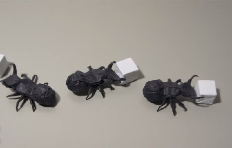 Cách gấp con kiến bằng giấy theo phong cách Origami