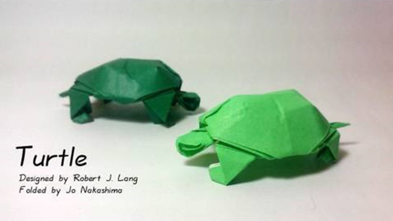 Cách Gấp Con Rùa Bằng Giấy Theo Phong Cách Origami