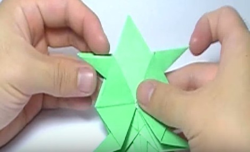 Cách gấp con rùa bằng giấy