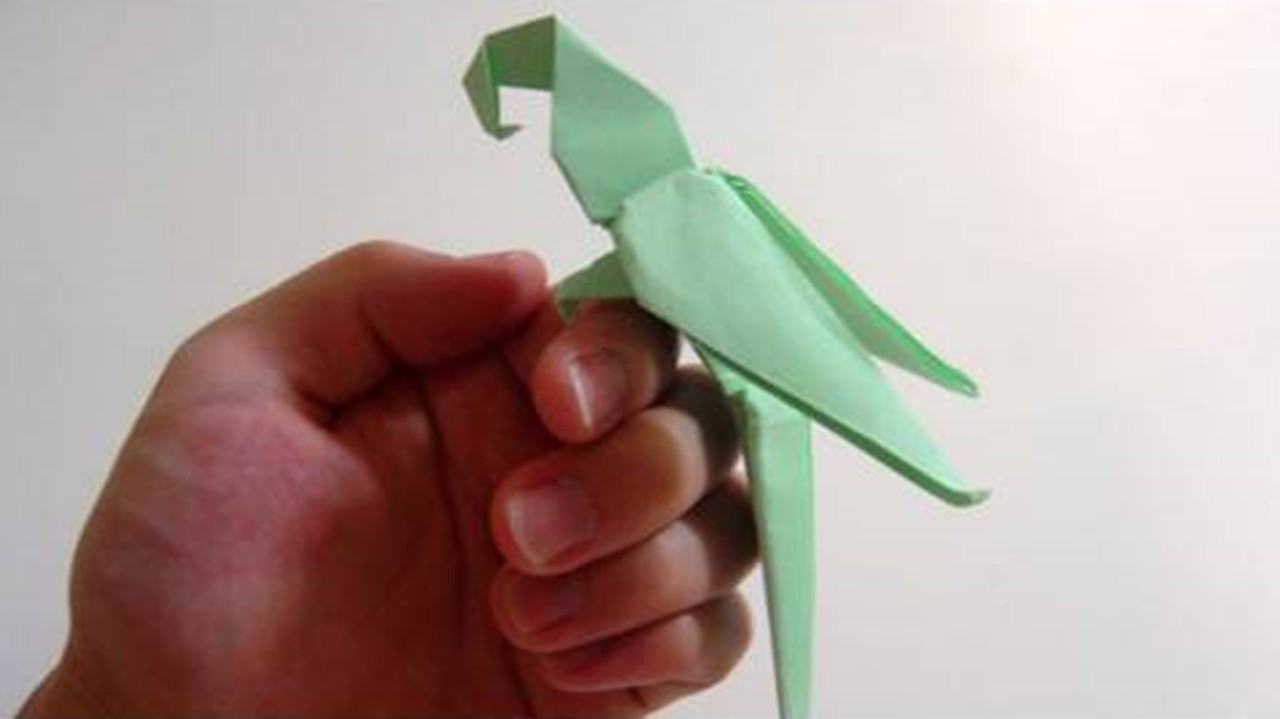Cách Gấp Con Vẹt Bằng Giấy Origami Đơn Giản