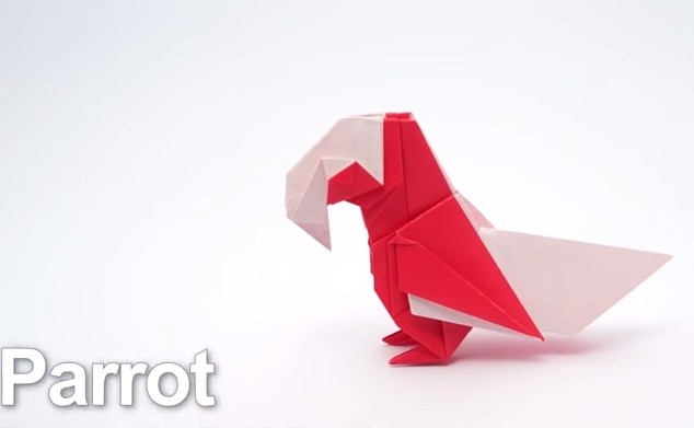 Cách Xếp Vẹt Giấy Độc Đáo Theo Phong Cách Origami