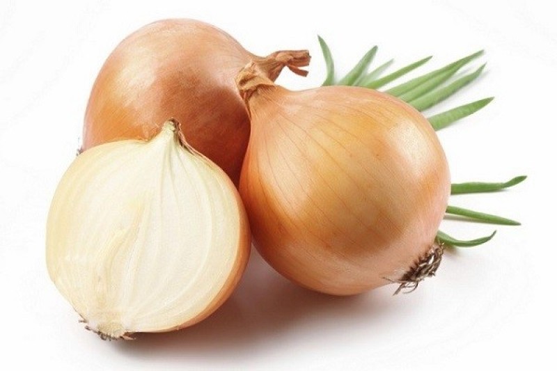 Những củ hành tây tươi ngon