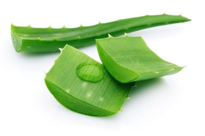 Nha đam là một trong các nguyên liệu có trong tự nhiên giúp ngăn ngừa mụn
