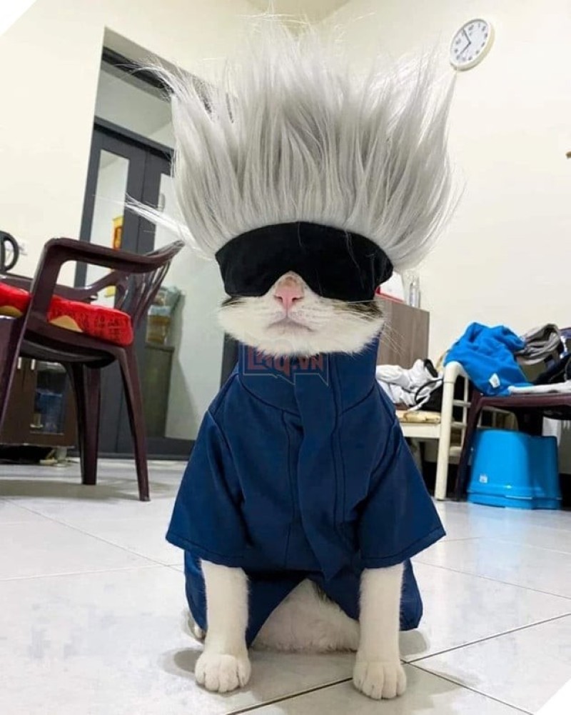 cosplay gojo satoru
