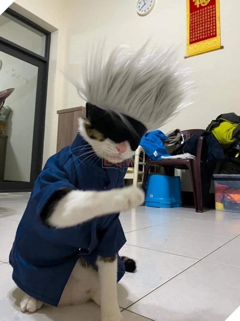 cosplay gojo satoru