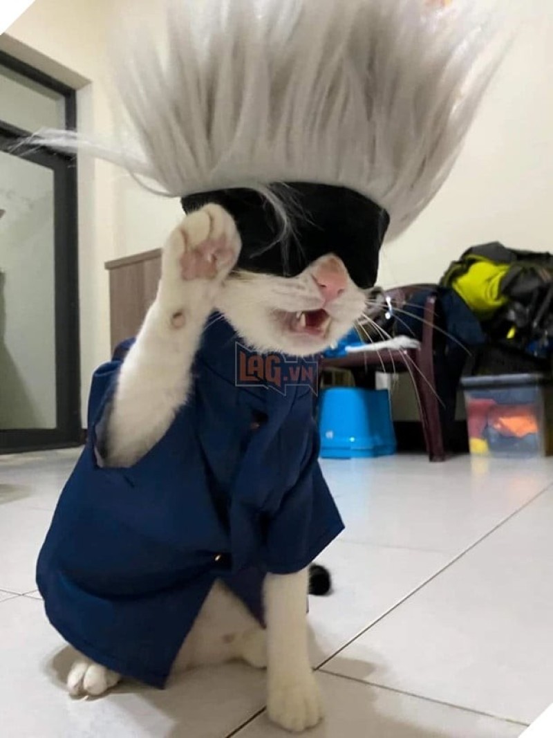 cosplay gojo satoru