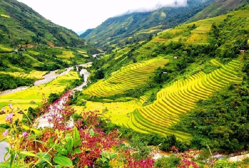 Du lịch hè Huế – Đà Nẵng – Hội An
