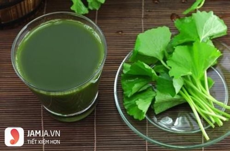Tác dụng của rau má trong làm đẹp và chăm sóc sức khỏe
