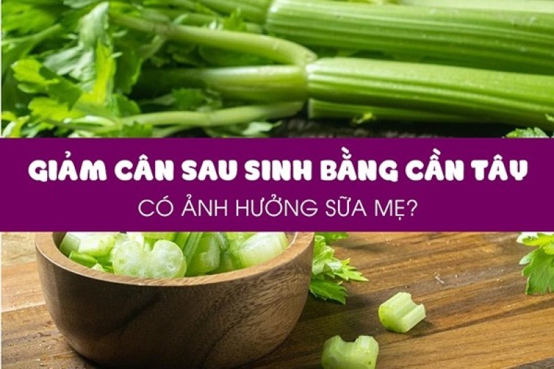 Giảm cân sau sinh bằng cần tây không ảnh hưởng đến sữa mẹ