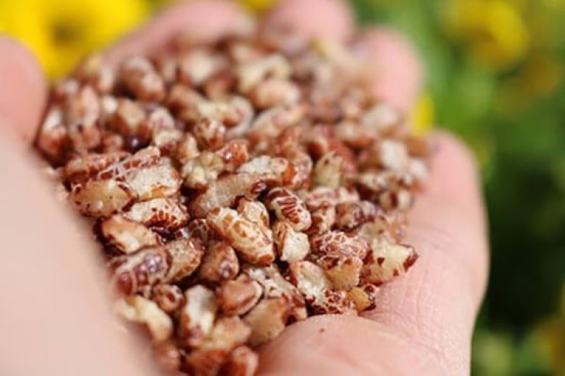 Gạo lứt rang – Món vặt giảm cân hiệu quả tại nhà