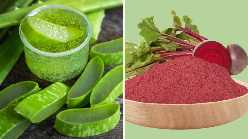 4 Công Thức Tự Làm Son Dưỡng Và Má Hồng Đơn Giản Tại Nhà