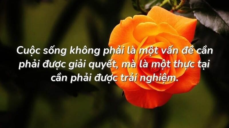 Những câu nói hay về trải nghiệm cuộc sống