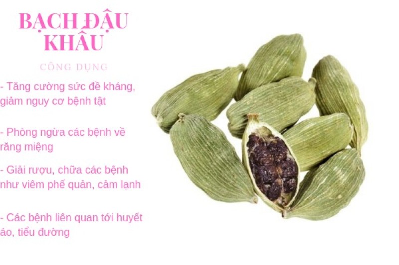 Gia vị