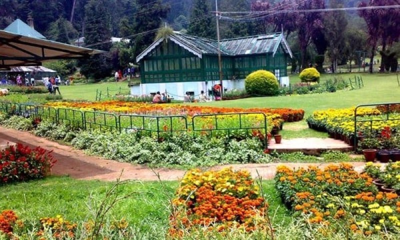 Lễ hội mùa hè Ooty