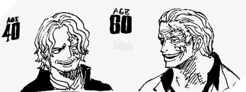 one piece tương lai các nhân vật