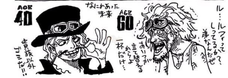 one piece tương lai các nhân vật