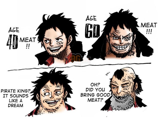 Tương Lai Các Nhân Vật One Piece Khi Về Già Là Thế Này Đây!