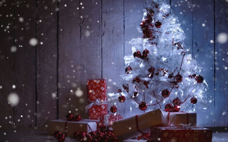  You are my greatest Christmas present. Hope we are together at every Christmas. Merry Christmas!