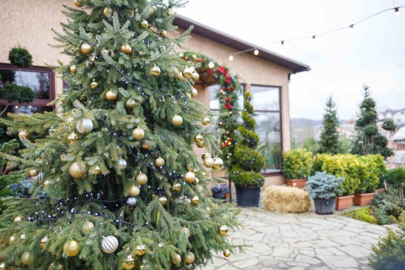ý tưởng trang trí cây thông Noel ngoài trời