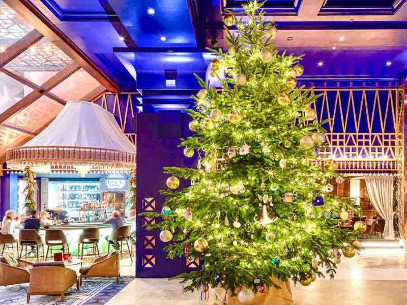 cây thông đắt nhất thế giới 